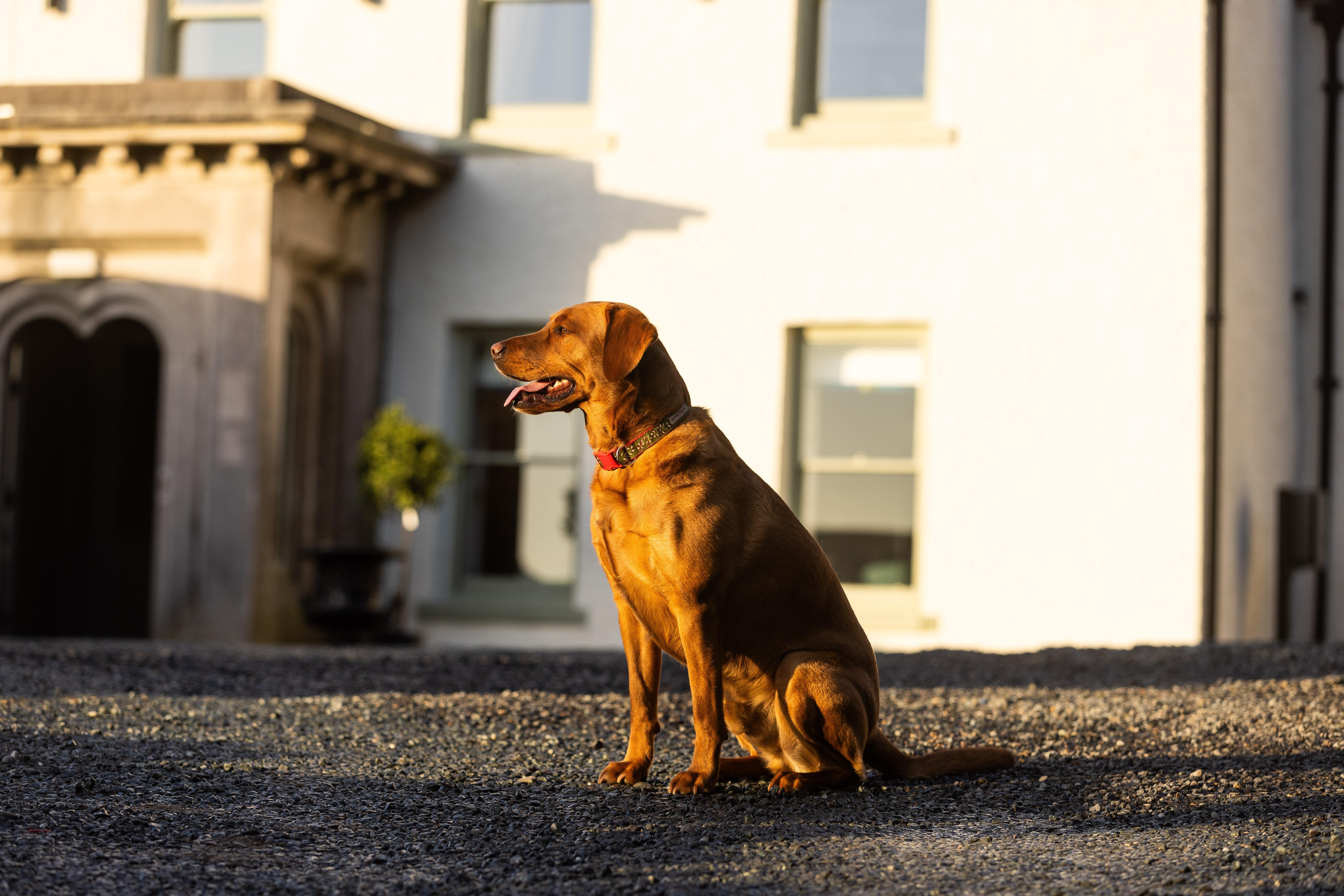 Aynsome Manor Bed & Breakfast Cartmel Exterior photo
